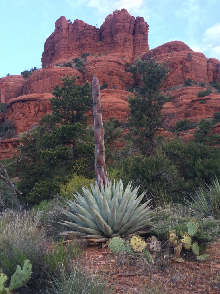 Boondocking Sedona - Miracle Update: Outback Edition
