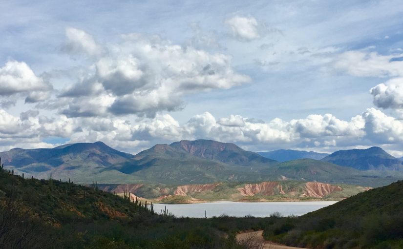 Something for Everyone at Roosevelt Lake, Arizona