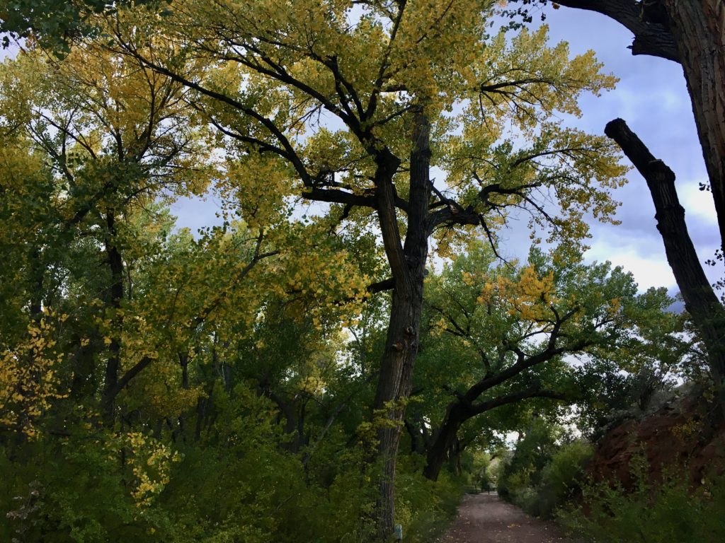 Legendary Healing Waters of Ojo Caliente hiking trail